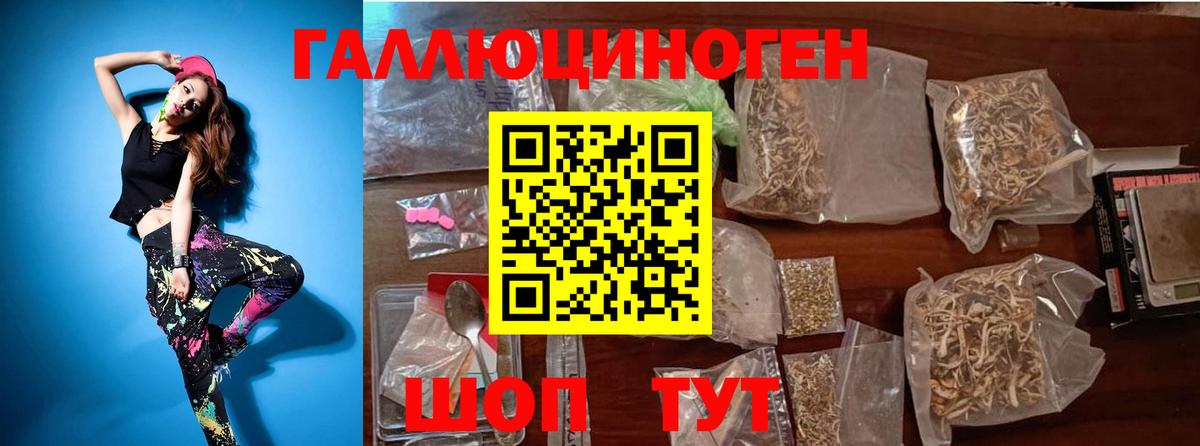 Псилоцибиновые грибы Cubensis Гудермес