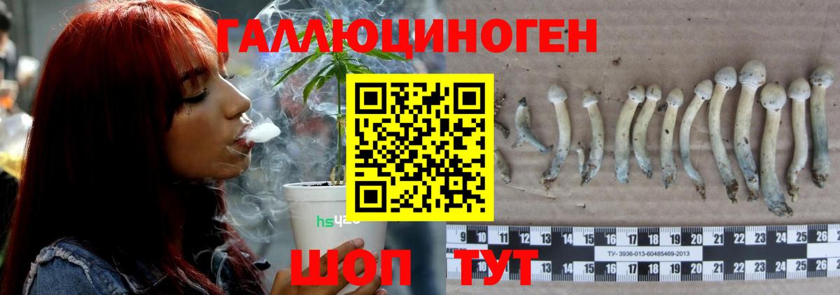 Гудермес  Галлюциногенные грибы мухоморы  Вход с VPN 
